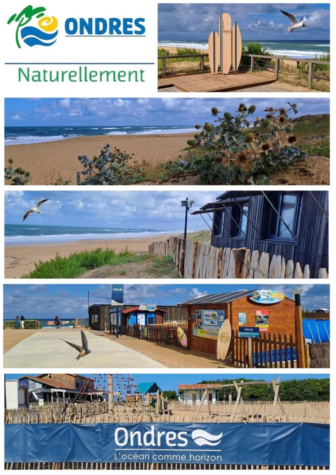T2 Turquoise Ondres Plage Avec Piscine Et Tennis Eksteriør billede